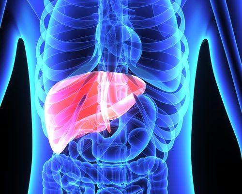 Key Risk Factors for Liver Cancer