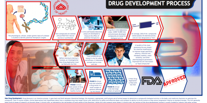 A Deeper Look at The Drug Development Process