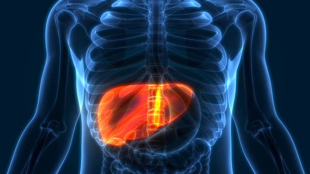 Five Liver Damage Warning Signs