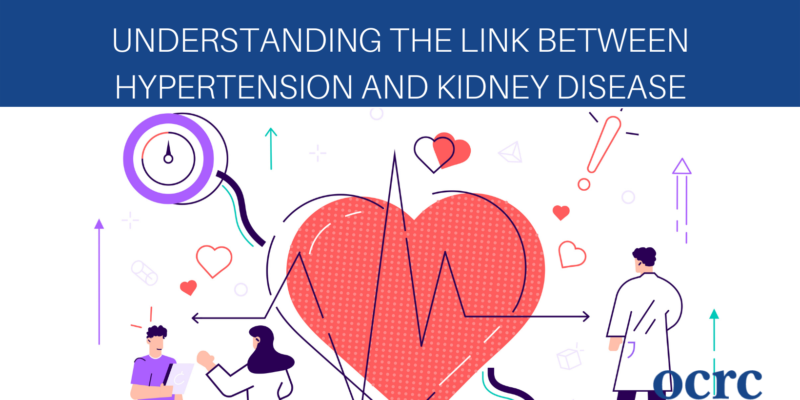 Understanding the Link Between Hypertension and Kidney Disease