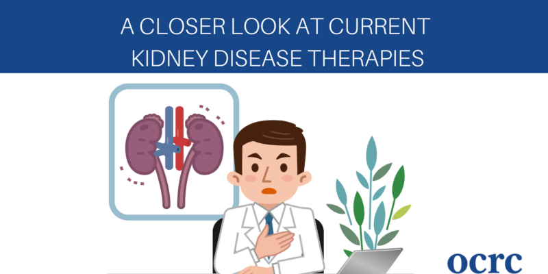 A Closer Look at Current Kidney Disease Therapies