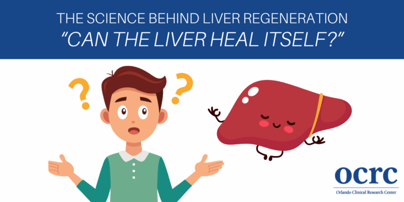 Can the Liver Heal Itself? Science Behind Liver Regeneration