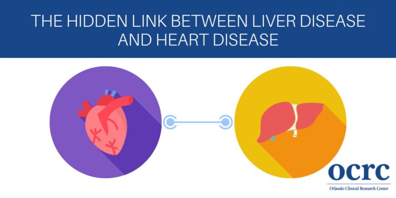 The Hidden Link Between Liver Disease and Heart Disease